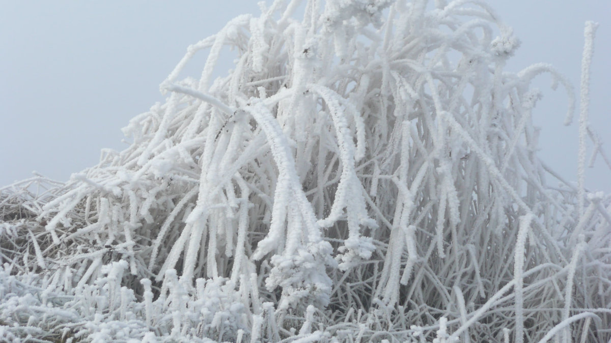 Saturn im wassermann